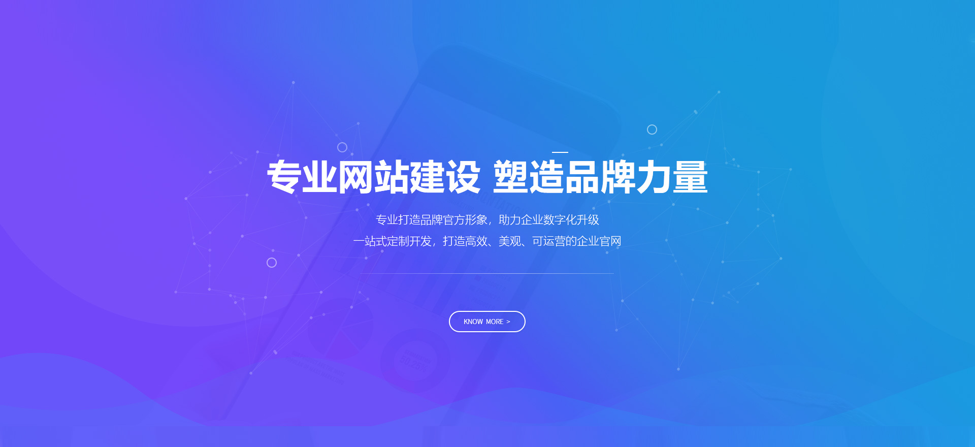 桂东建站-专业网站建设 塑造品牌力量