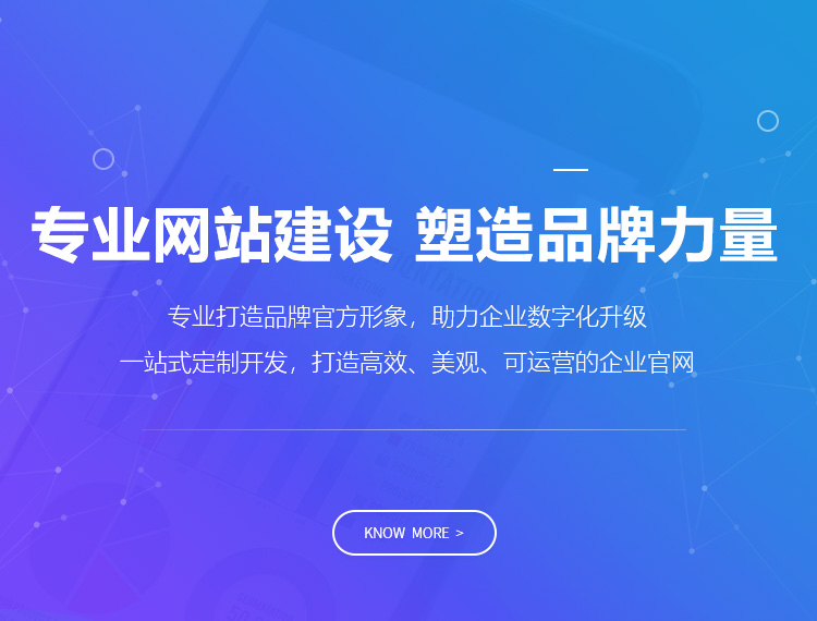 桂东建站-专业网站建设 塑造品牌力量